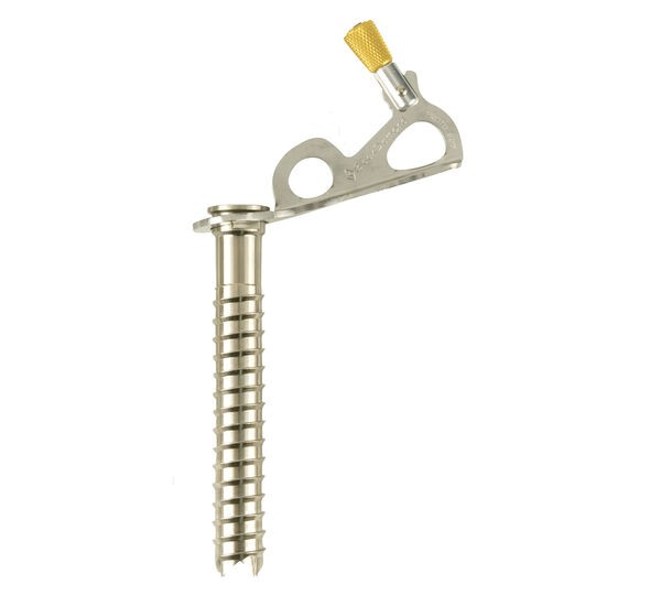 Black Diamond Express Ice Screw